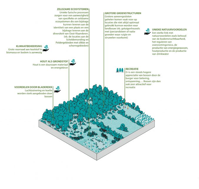 Ecosysteemdiensten in Oost-Vlaanderen